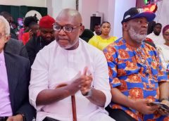 Ohanaeze at 50: Otti, Obi, Achebe, Abaribe, others reflect on Igbo unity, identity, way forward